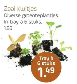 Coppelmans Zaai kluitjes aanbieding