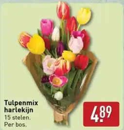 ALDI Tulpenmix harlekijn aanbieding