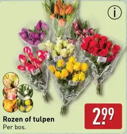 ALDI Rozen of tulpen aanbieding