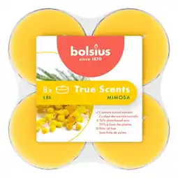 Marskramer Maxilichten clear cup 8u True Scents Mimosa aanbieding