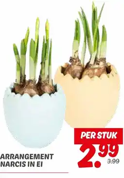 Dekamarkt Arrangement narcis in ei aanbieding