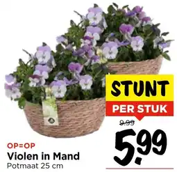 Vomar Voordeelmarkt Violen in Mand aanbieding