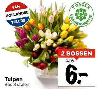 Vomar Voordeelmarkt Tulpen aanbieding