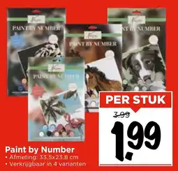 Vomar Voordeelmarkt Paint by Number aanbieding