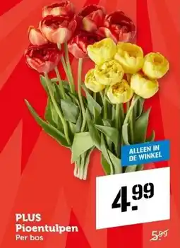 Coop PLUS Pioentulpen aanbieding