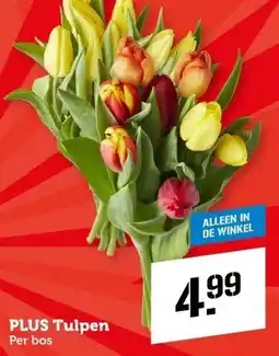 Coop PLUS Tulpen aanbieding