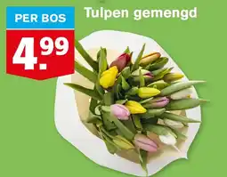 Hoogvliet Tulpen gemengd aanbieding