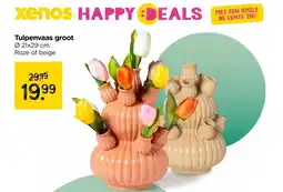 Xenos Tulpenvaas groot aanbieding