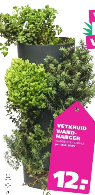 Ranzijn VETKRUID WAND- HANGER aanbieding