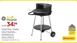 Praxis CENTRAL PARK HOUTSKOOL- BARBECUE MALLORCA aanbieding