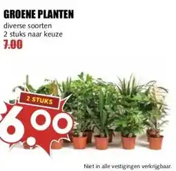 MCD Supermarkt GROENE PLANTEN aanbieding