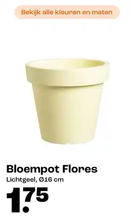 Kwantum Bloempot Flores aanbieding