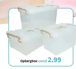 Wibra Opbergbox aanbieding