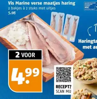 Poiesz Vis Marine verse maatjes haring aanbieding