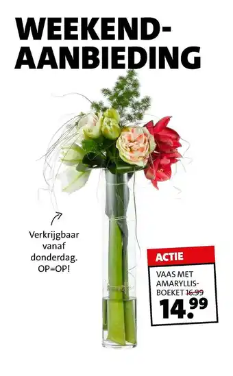 Intratuin Vaas Met Amaryllisboeket aanbieding