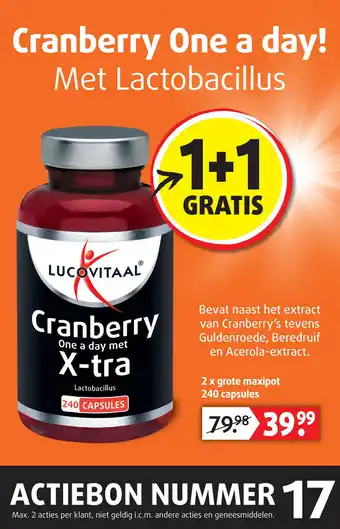 Lucovitaal Cranberry One a day! Met Lactobacillus aanbieding