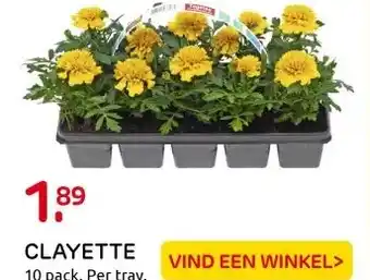 Praxis CLAYETTE aanbieding