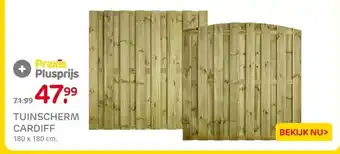 Praxis TUINSCHERM CARDIFF aanbieding