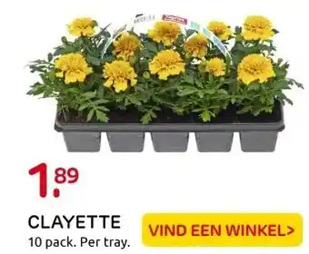 Praxis CLAYETTE aanbieding
