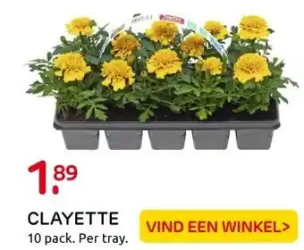 Praxis CLAYETTE aanbieding