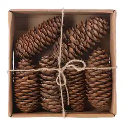 Van Cranenbroek Raicone nature 6st NC aanbieding