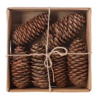 Van Cranenbroek Raicone nature 6st NC aanbieding