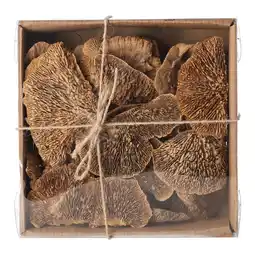 Van Cranenbroek Paddenstoel sponge nature 120gr NC aanbieding