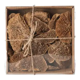 Van Cranenbroek Paddenstoel sponge nature 120gr NC aanbieding