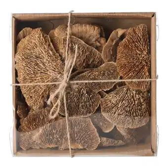 Van Cranenbroek Paddenstoel sponge nature 120gr NC aanbieding