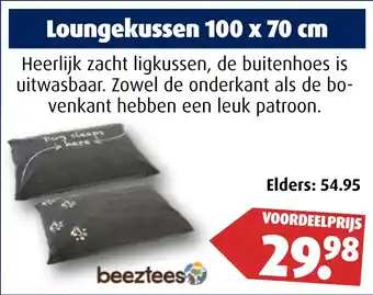 Huisdier Voordeelshop Loungekussen 100 x 70 cm aanbieding