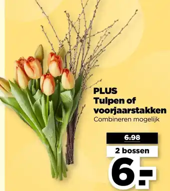 PLUS PLUS Tulpen of voorjaarstakken aanbieding