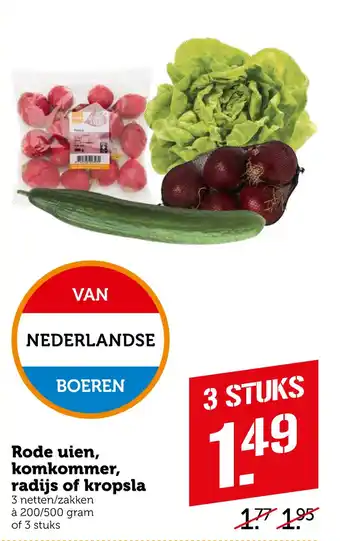 Coop Rode uien, komkommer, radijs of kropsla 500gram aanbieding