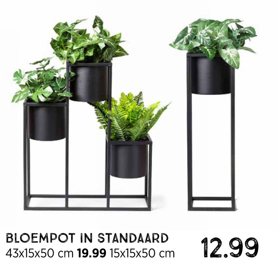 Bloempot In standaard aanbieding bij Xenos