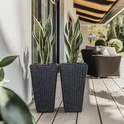 Action Set van 2 plantenpotten - zwart aanbieding