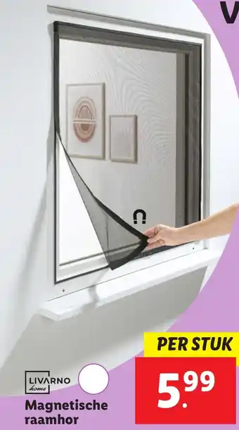 Lidl Magnetische raamhor aanbieding