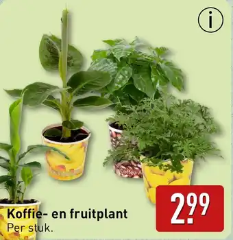 ALDI Koffie en fruitplant aanbieding