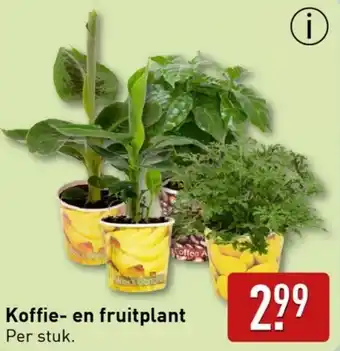 ALDI Koffie- en fruitplant aanbieding