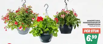 Dekamarkt Hangpetunia, hanggeranium of hangfuchsia aanbieding