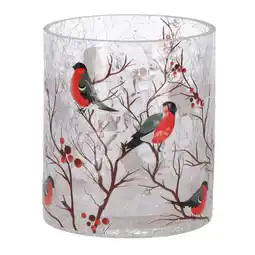 Van Cranenbroek Theelichthouder glas vogels 9x9x10cm nc aanbieding