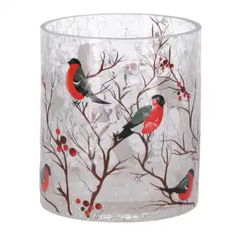 Van Cranenbroek Theelichthouder glas vogels 9x9x10cm nc aanbieding