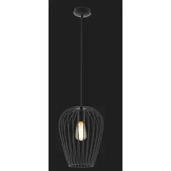 Praxis EGLO hanglamp Newton zwart ⌀27,5cm E27 aanbieding