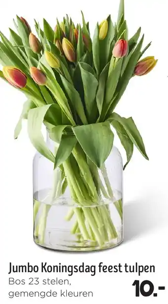 Jumbo Jumbo Koningsdag feest tulpen gemengde kleuren aanbieding