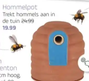 Coppelmans Hommelpot aanbieding