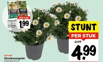 Vomar Voordeelmarkt Struikmargriet aanbieding