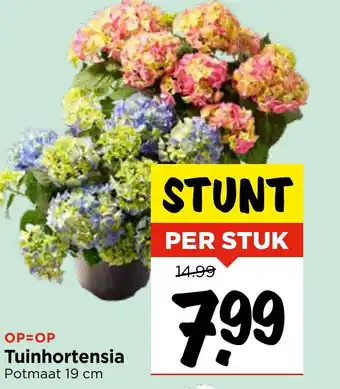 Vomar Voordeelmarkt Tuinhortensia aanbieding