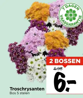 Vomar Voordeelmarkt Troschrysanten aanbieding