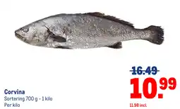 Makro Corvina aanbieding