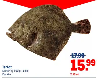 Makro Tarbot aanbieding