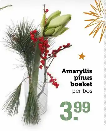 Coop Amaryllis pinus boeket aanbieding