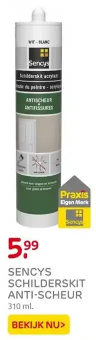 Praxis Sencys schilderskit anti-scheur aanbieding